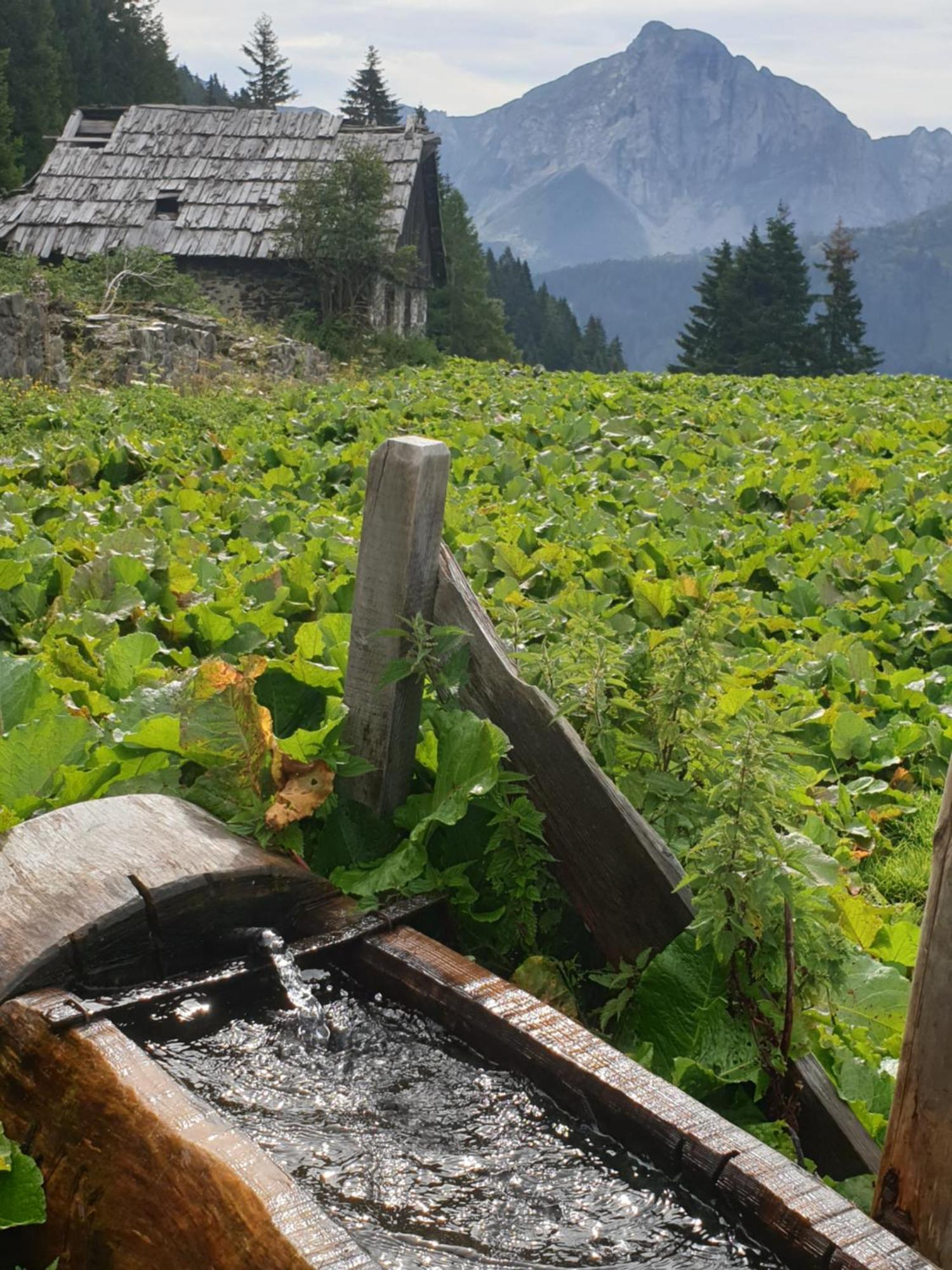 Cafe Zentral, Zimmer Mit Fruehstueck Kotschach-Mauthen Dış mekan fotoğraf